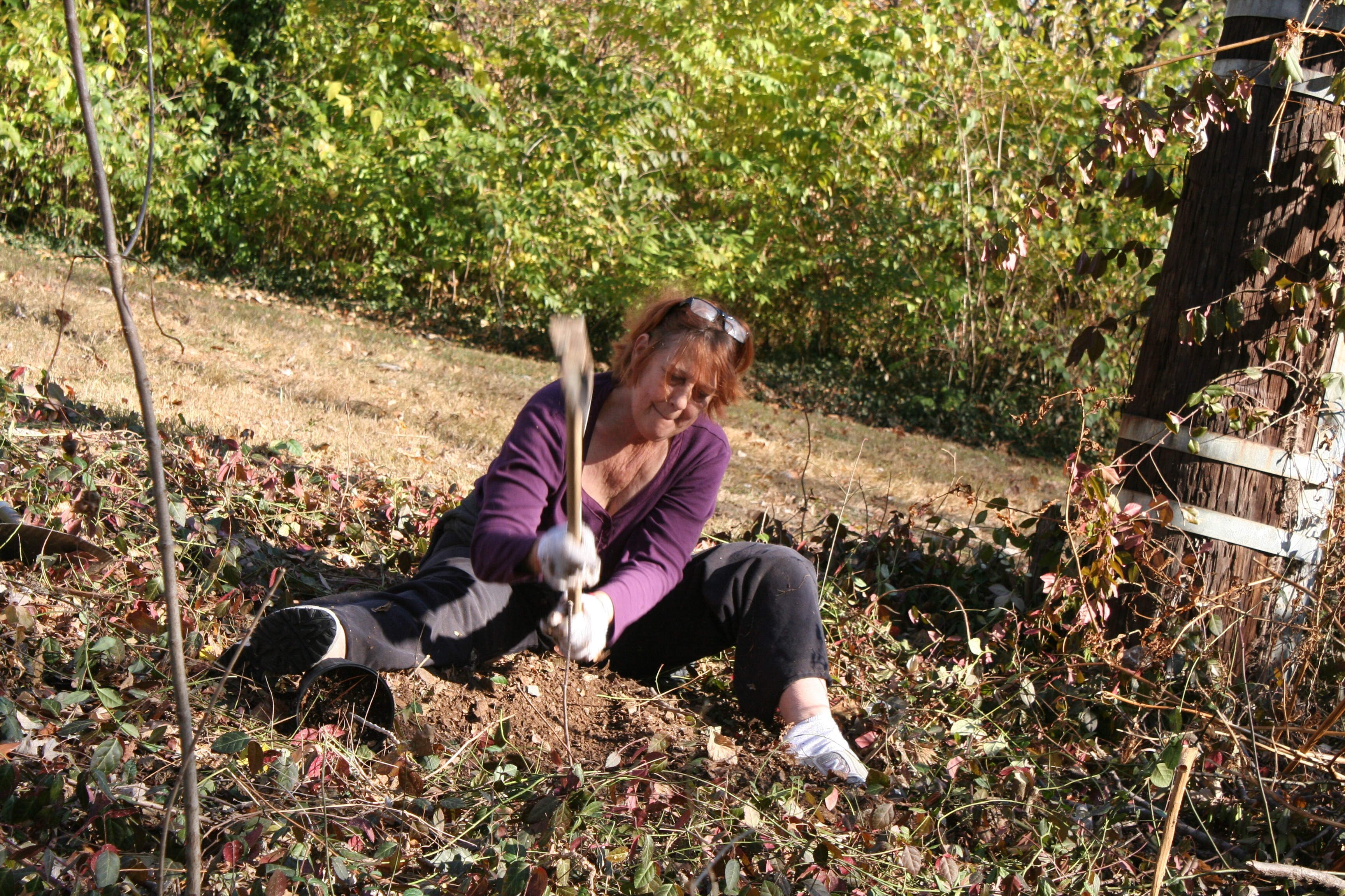 Volunteer Workday_Linda Bradford